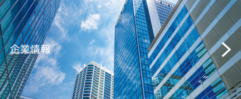 企業情報