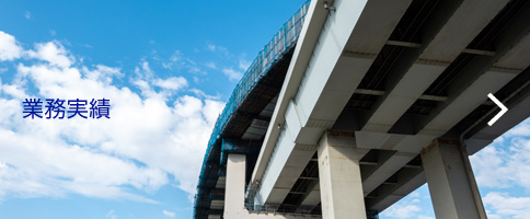 業務実績